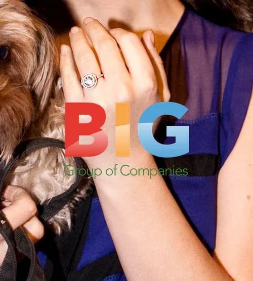 Natalie Portman Pregnant, Shows Off Engagement Ring