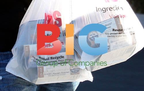 Britney Spears and Family at McDonald's