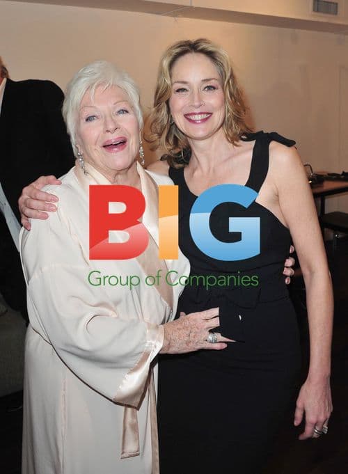 Michel Drucker's TV Show with Celebs