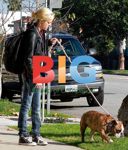 Samantha Ronson walks tired dog Cadillac