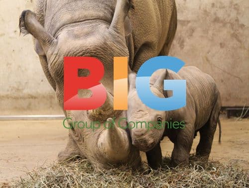 Black Rhino Calf Born at St. Louis Zoo