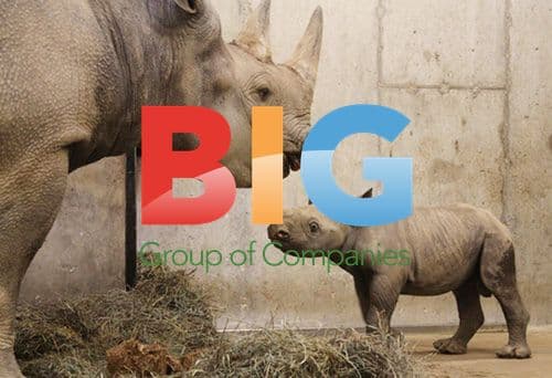 Black Rhino Calf Born at St. Louis Zoo
