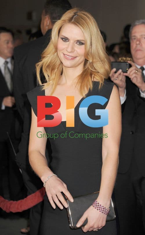 Actress arrives at 63rd Annual DGA Awards