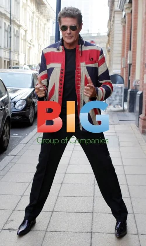 David Hasselhoff at 'Britain's Got Talent' Auditions