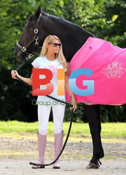 Katie Price Receives New Porsche at Stables