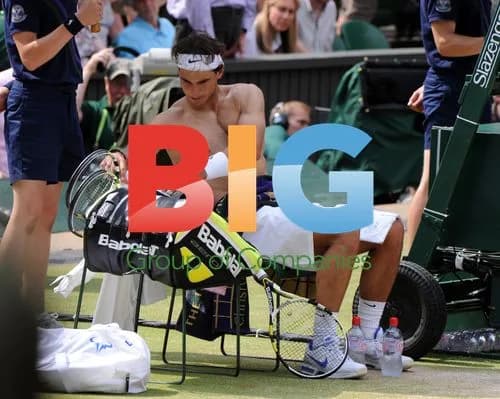 Wimbledon Championships Final 2011