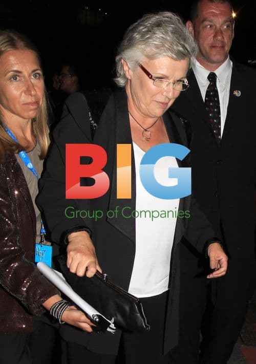 Julie Walters at 'Harry Potter 7' Premiere Party