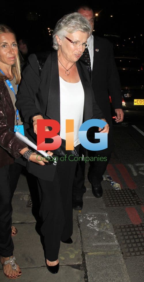 Julie Walters at 'Deathly Hallows' Premiere