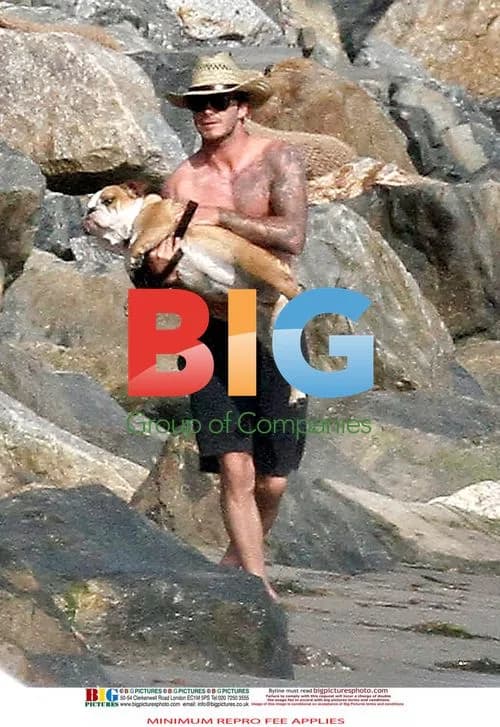 David Beckham plays with dog on California beach