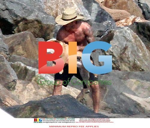 David Beckham Plays with Family Dog