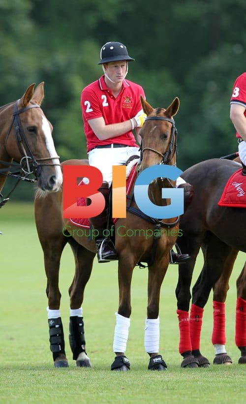 Prince Harry plays polo at Tidworth