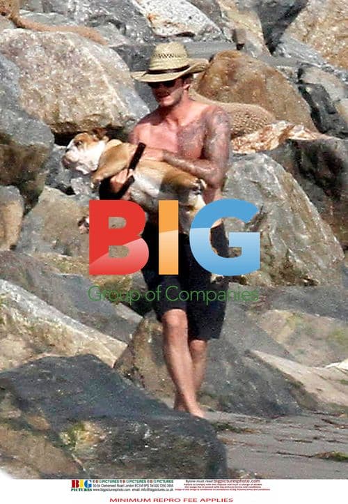 David Beckham with Dog on Beach