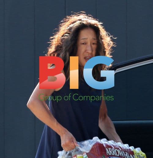 Sandra Oh Carrying Groceries in West Hollywood