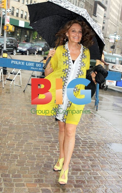 Diane Von Furstenberg at Snowflower And The Secret Fan Premiere