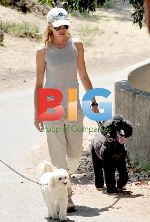 Portia De Rossi Walking Dog in Hollywood Hills