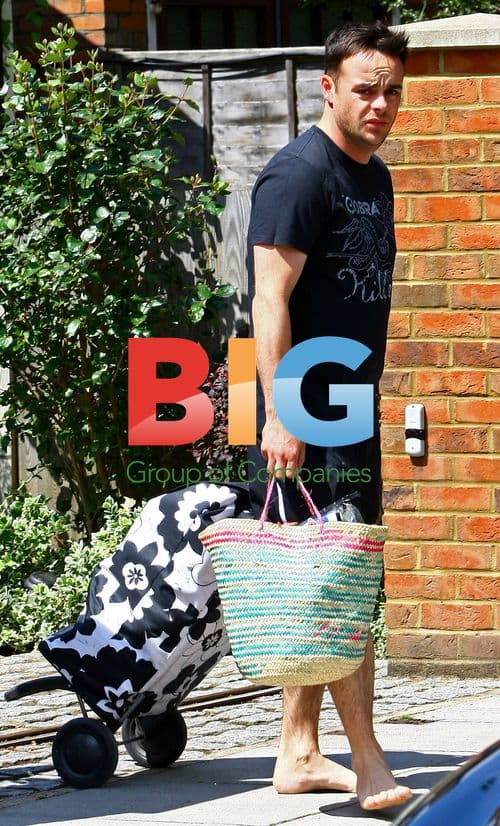 Ant McPartlin Carries Groceries with Wife