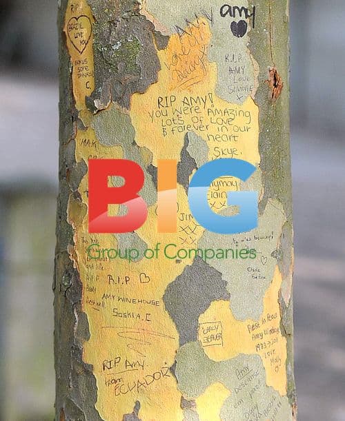 Flowers for Amy Winehouse