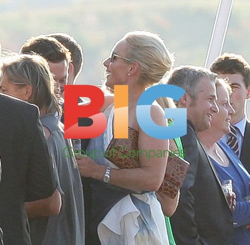 Zara Phillips and Mike Tindall pre-wedding party