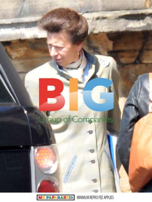 Zara Phillips and Princess Anne Arrive for Royal Wedding