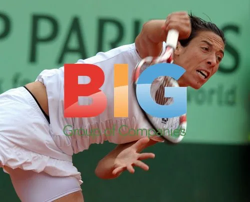Francesca Schiavone Wins French Open Quarter Final