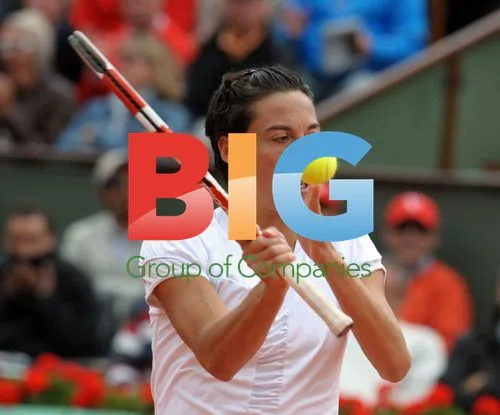 Francesca Schiavone wins French Open quarter final