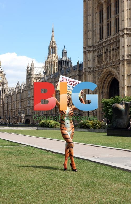 Chantelle Houghton Protests Government Inaction on Animal Abuse