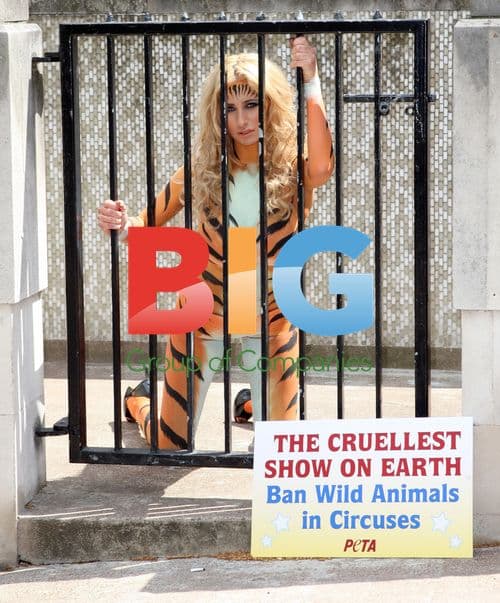 Chantelle Houghton protests animal abuse