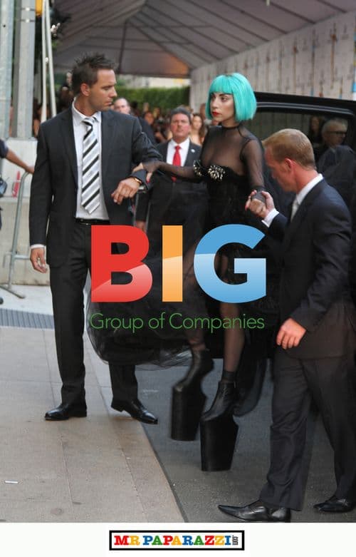 Lady Gaga's Dramatic CFDA Entrance