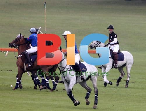 Princes William and Harry at Charity Polo Match