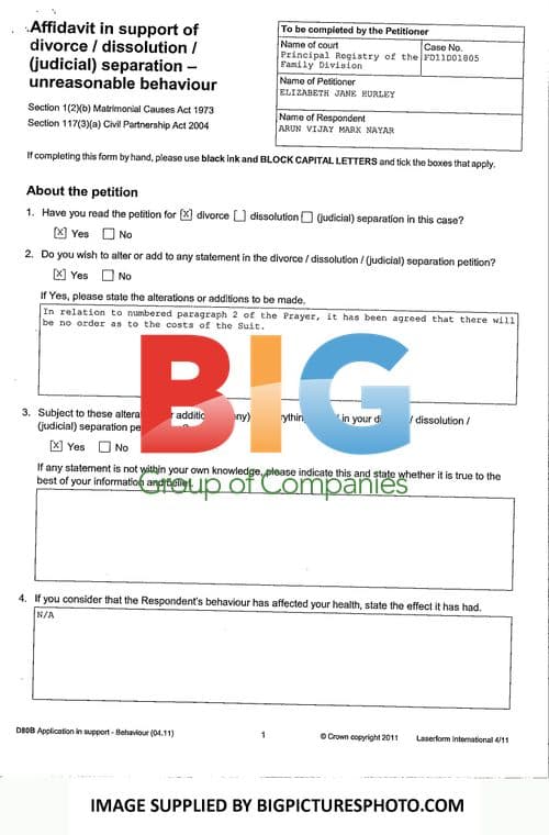 Elizabeth Hurley and Arun Nayar Divorce Papers