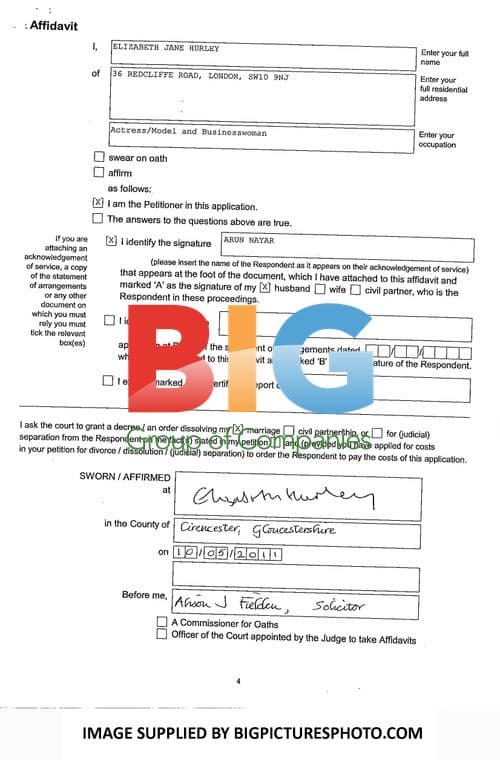 Elizabeth Hurley and Arun Nayar Divorce