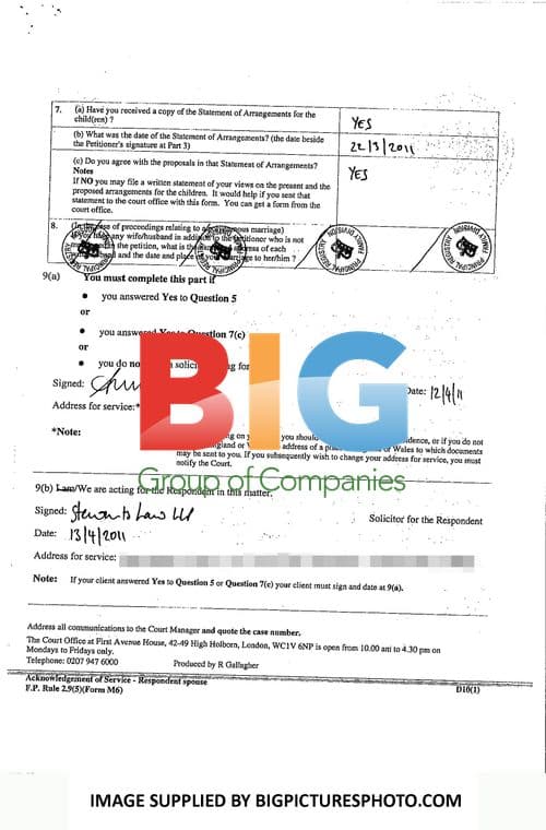 Elizabeth Hurley and Arun Nayar Divorce