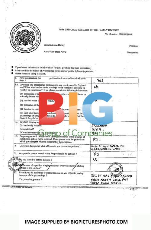 Elizabeth Hurley and Arun Nayar Divorce Papers