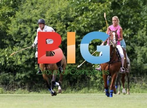 Katie Price and Leandro Penna Polo Outing