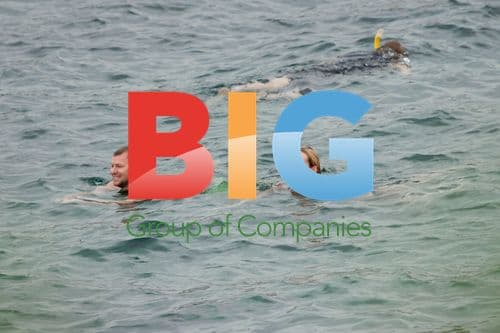 Pregnant Toni Collette Swims in Sydney