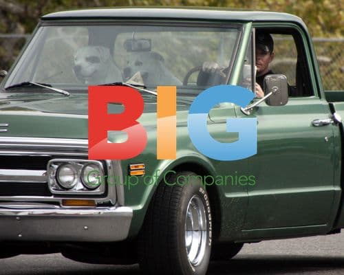 Kevin Dillon with Dogs in Malibu