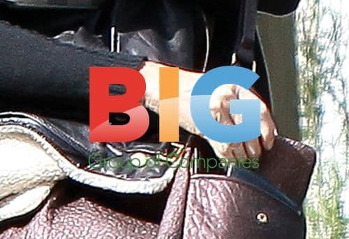 Demi Moore Arrives with Coconut Water