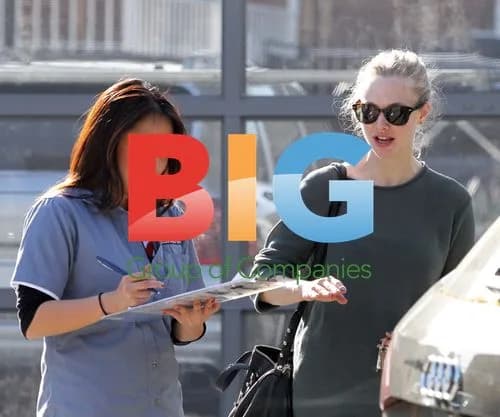 Amanda Seyfried Servicing Audi Q5