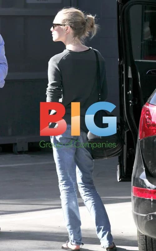 Amanda Seyfried Gets Her Audi Q5 Serviced