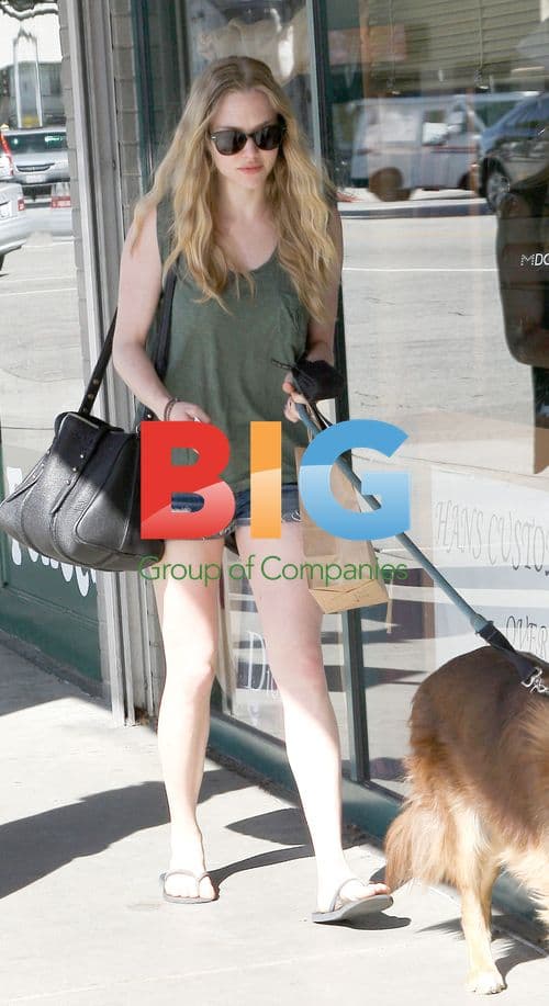 Amanda Seyfried Out Walking Dog in Tiny Shorts