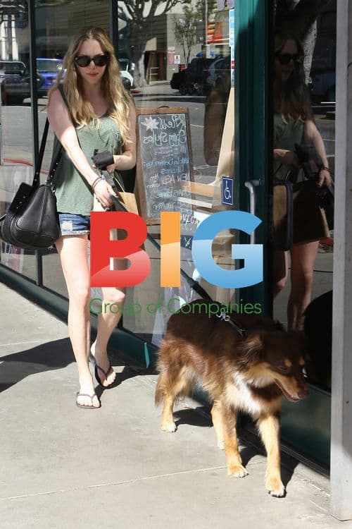 Amanda Seyfried Walks Dog in Tiny Shorts