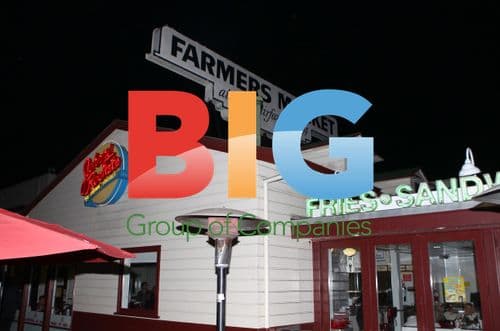 Brooke Mueller Takes Twins to Eat at Johnny Rockets