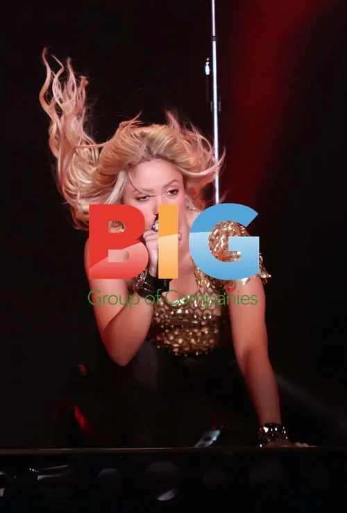 Shakira Performs in Chile Concert