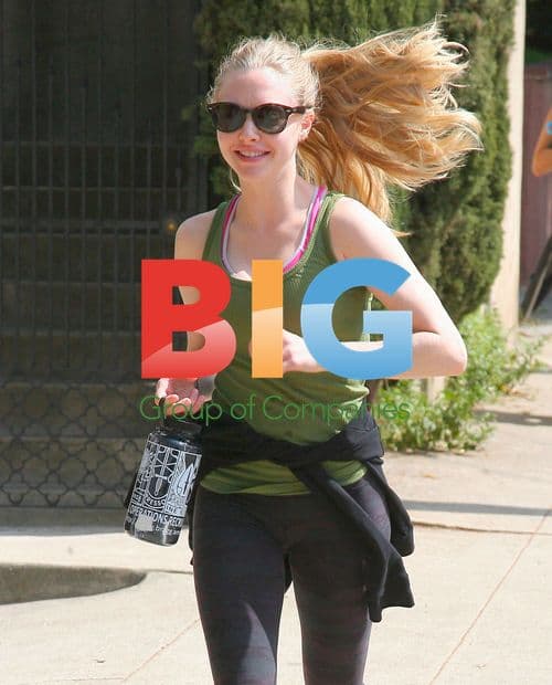 Ryan Phillippe and Amanda Seyfried Hiking in LA