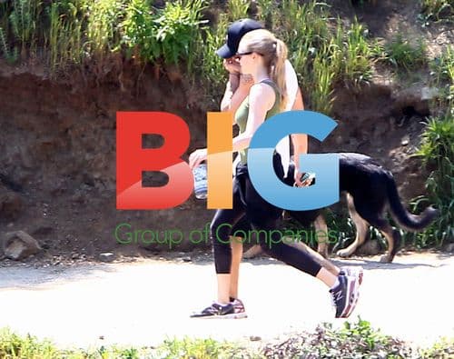 Ryan Phillippe and Amanda Seyfried Out with Dog