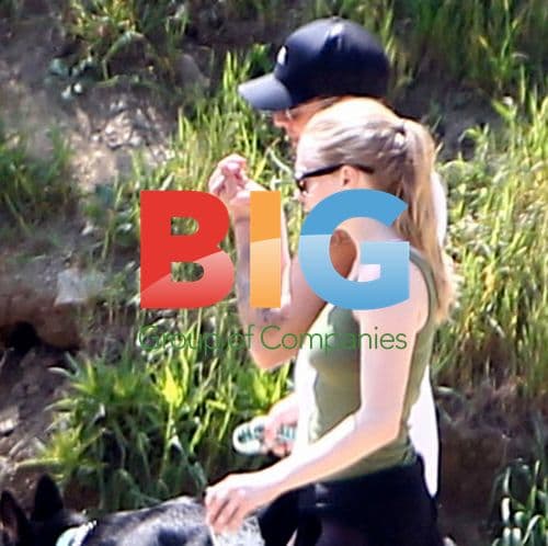 Ryan Phillippe and Amanda Seyfried's Dog Walk