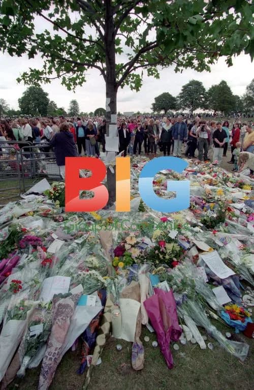Prince Charles, William and Harry visit Diana funeral tributes