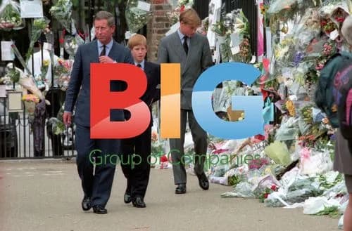 Prince Charles and sons at Diana tributes