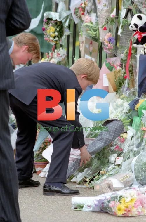 Prince Charles and sons visit Diana's tributes
