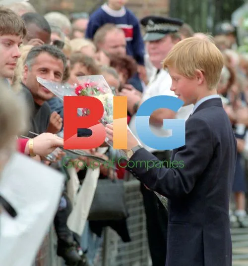 Prince Charles and sons at Princess Diana's funeral tributes